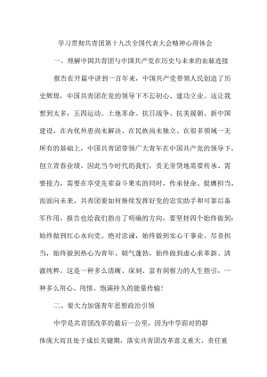 杰出青年学习贯彻共青团第十九次全国代表大会精神个人心得体会 四篇.docx