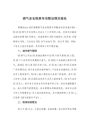 2023年燃气安全隐患专项整治情况报告十篇.docx
