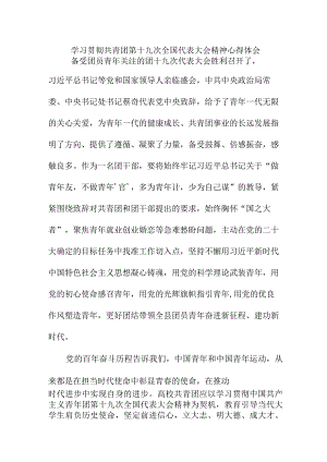 青年党员学习贯彻共青团第十九次全国代表大会精神个人心得体会 汇编4份.docx