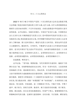 学习二十大心得体会精选范文(4篇).docx