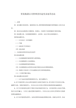 贸易集团公司管理责任追究及处罚办法.docx