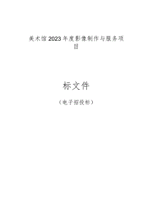 美术馆2023年度影像制作与服务项目招标文件.docx