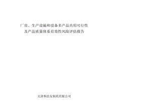 风险分析评估报告.docx