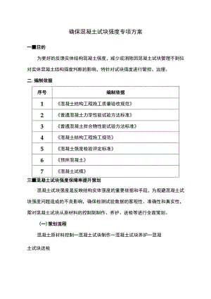 确保混凝土试块强度专项方案 (详细).docx
