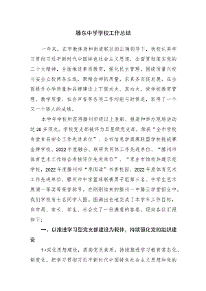 滕东中学学校工作总结.docx