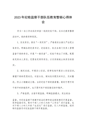 2023全国纪检监察干部队伍教育整顿心得体会十一篇.docx