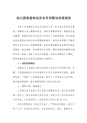 幼儿园食堂食品安全专项整治自查报告十篇.docx