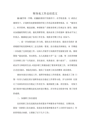 财务处工作总结范文.docx