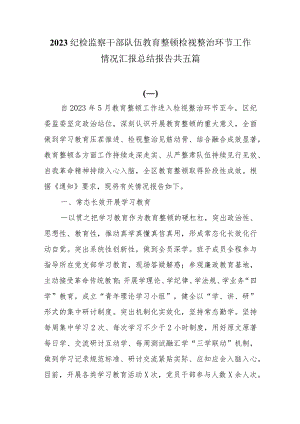 2023纪检监察干部队伍教育整顿检视整治环节工作情况汇报总结报告共五篇.docx