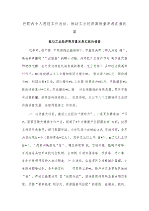 任期内个人思想工作总结、推动工业经济高质量发展汇报两篇.docx