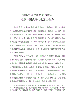 专题党课教案《铸牢中华民族共同体意识 凝聚中国式现代化强大合力》.docx
