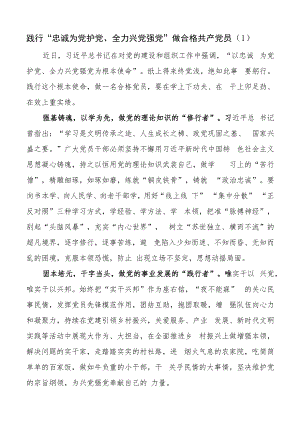 “忠诚为党护党、全力兴党强党”学习心得体会（研讨发言材料）.docx