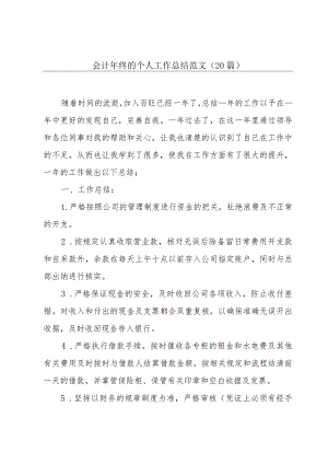 会计年终的个人工作总结范文（20篇）.docx