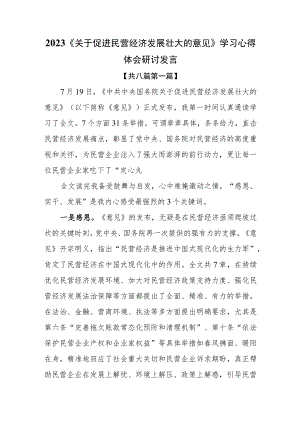 （8篇）2023《关于促进民营经济发展壮大的意见》学习心得体会研讨发言.docx