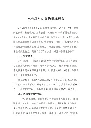 2023防汛抢险救灾工作情况汇报八篇.docx