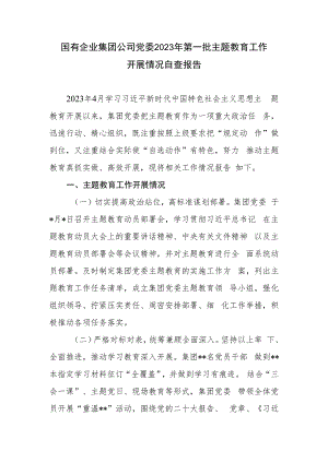 国有企业集团公司党委2023年第一批主题教育工作开展情况自查报告.docx