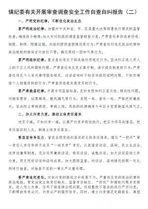 镇纪委有关开展审查调查安全工作自查自纠报告范文.docx