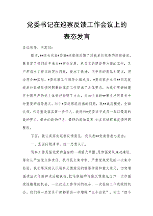 党委书记在巡察反馈工作会议上的表态发言.docx