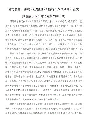 研讨发言：赓续“红色血脉” 践行“八八战略” 在大抓基层守根护脉上走前列争一流.docx