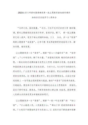 2023在四川考察时强调确保第一批主题教育善始善终慎终如始务求实效学习心得体会3篇.docx