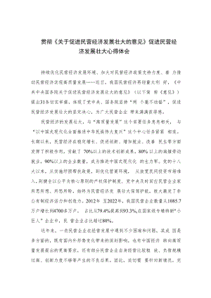 2023贯彻《关于促进民营经济发展壮大的意见》促进民营经济发展壮大心得体会【10篇精选】供参考.docx