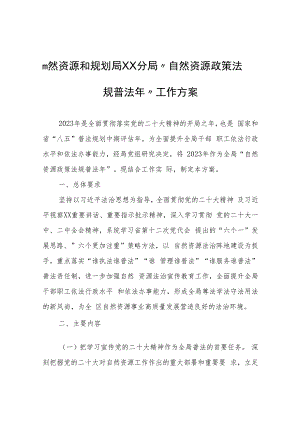 自然资源和规划局XX分局“自然资源政策法规普法年”工作方案.docx
