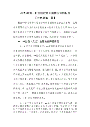 （6篇）2023年第一批主题教育开展情况评估报告.docx