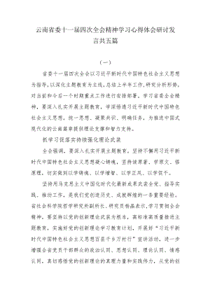 云南省委十一届四次全会精神学习心得体会研讨发言共五篇.docx