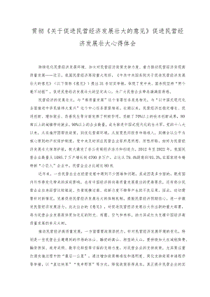 （2篇）2023年《关于促进民营经济发展壮大的意见》促进民营经济发展壮大心得体会.docx