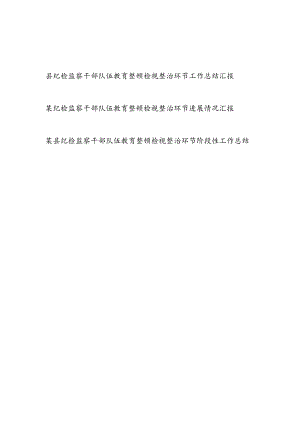 2023县纪检监察干部队伍教育整顿检视整治环节进展情况阶段性工作总结汇报3篇.docx