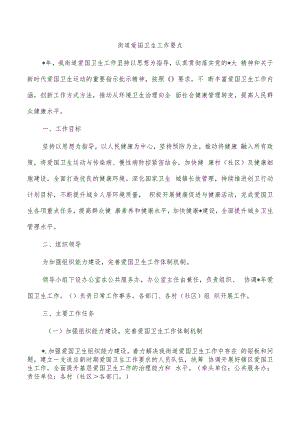 街道爱国卫生工作要点.docx