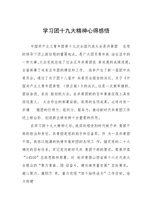学习团十九大精神心得感悟七篇.docx