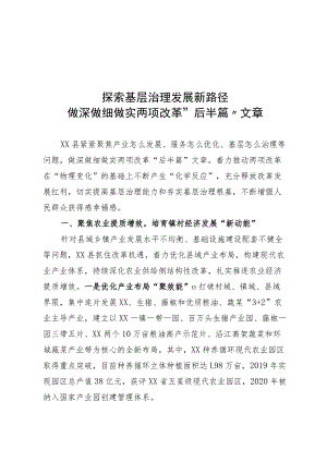 探索基层治理发展新路径做深做细做实两项改革“后半篇”文章.docx