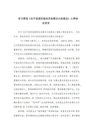 2023学习贯彻《关于促进民营经济发展壮大的意见》心得体会发言精选10篇.docx