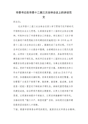市委书记在市委十二届三次全体会议上的讲话范文.docx