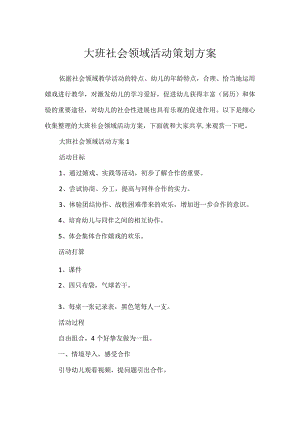 大班社会领域活动策划方案.docx