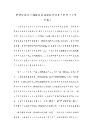 把建设美丽中国摆在强国建设民族复兴的突出位置心得体会.docx