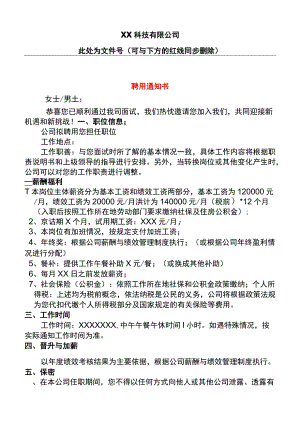 offer聘书聘用告知书模板.docx