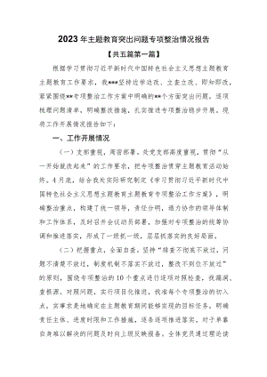 （5篇）2023年主题教育突出问题专项整治情况报告.docx