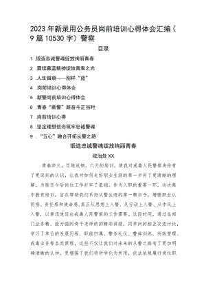 2023年新录用公务员岗前培训心得体会汇编9篇（公安）.docx