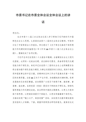 市委书记在市委全体会议全体会议上的讲话.docx