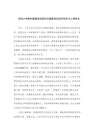 2023在四川考察时重要讲话抓好主题教育实效评估学习心得体会【7篇】.docx