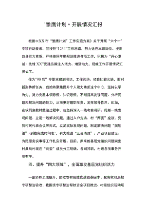 “雏鹰计划”开展情况汇报.docx