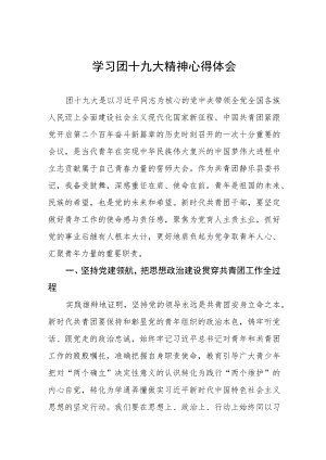 学习青年团第十九次全国代表大会精神的心得体会五篇.docx