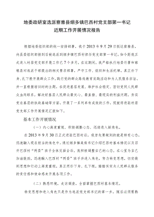 选派第一书记工作开展情况及总结.docx