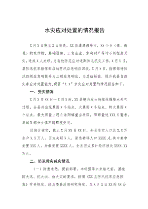 2023年水灾应对处置的情况报告四篇.docx