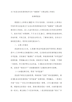 关于某县自然资源领域作风和“微腐败”问题治理工作情况的调研报告.docx