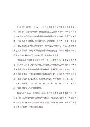 宁夏党委十三届四次全会精神心得体会资料合集.docx