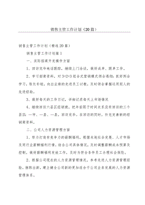 销售主管工作计划（20篇）.docx