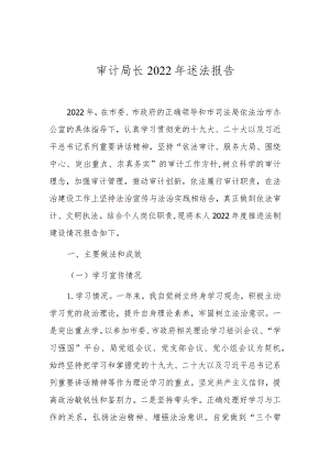 审计局长2022年述法报告.docx